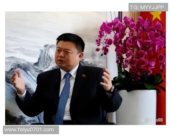 专访杨磊：深入探讨足球成功背后的秘密与智慧