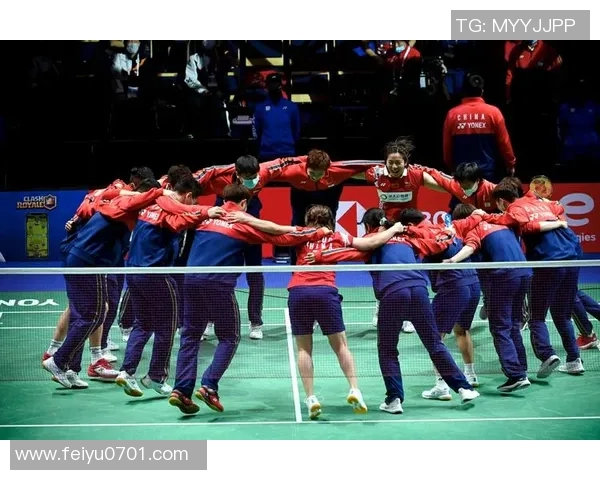 南京羽毛球队的深度解析与控制策略探秘 南京羽毛球队的深度解析与控制策略探秘