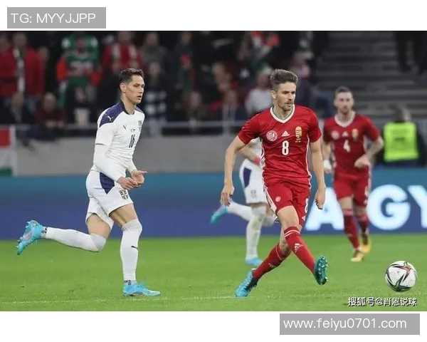 塞尔维亚足球明星盘点及其在国际赛场上的辉煌成就 塞尔维亚足球明星盘点及其在国际赛场上的辉煌成就