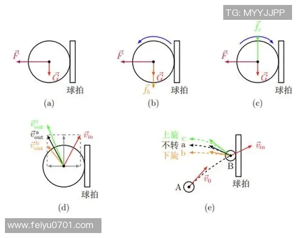 科学乒乓球：灵活性训练方法