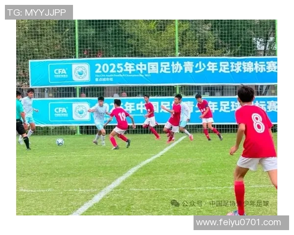 足球专题：聚焦深圳足球队的配合