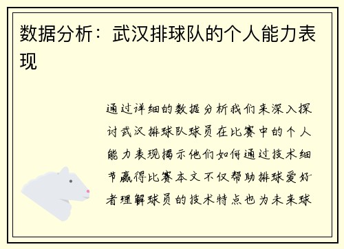 数据分析：武汉排球队的个人能力表现