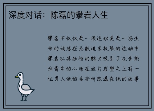 深度对话：陈磊的攀岩人生
