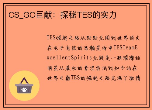 CS_GO巨献：探秘TES的实力