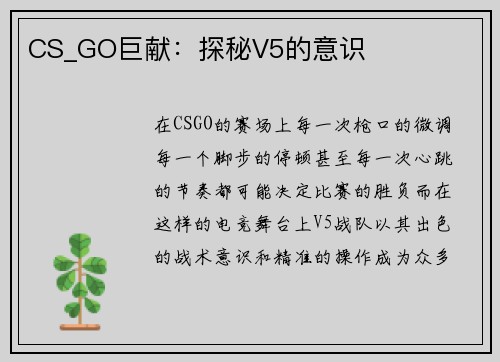 CS_GO巨献：探秘V5的意识