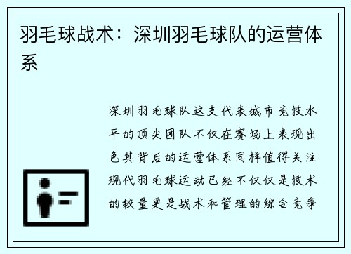 羽毛球战术：深圳羽毛球队的运营体系