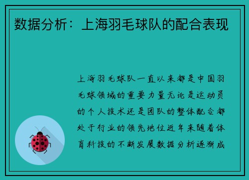 数据分析：上海羽毛球队的配合表现