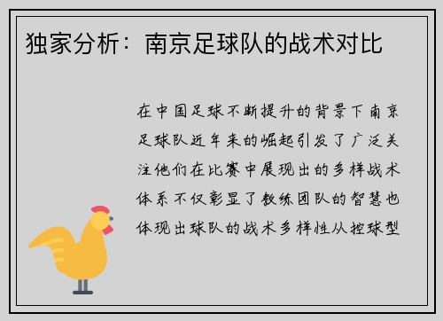 独家分析：南京足球队的战术对比